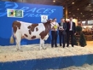 Salon International de l'Agriculture 2015