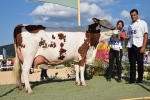 Concours départemental Loire