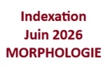 Du choix au rayon morphologie