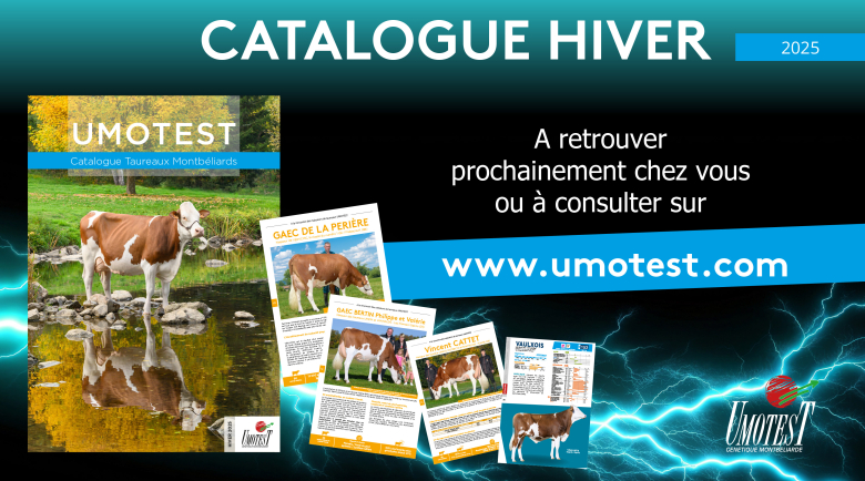 Catalogue Umotest Hiver 2025/2026