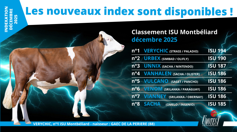 Indexation décembre 2025