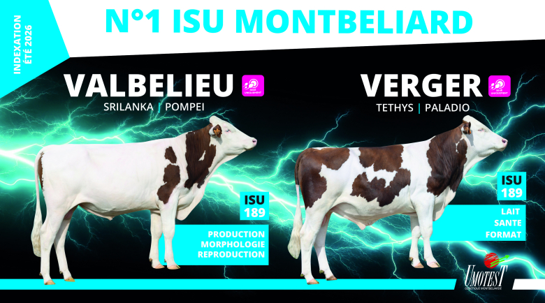 N°1 ISU