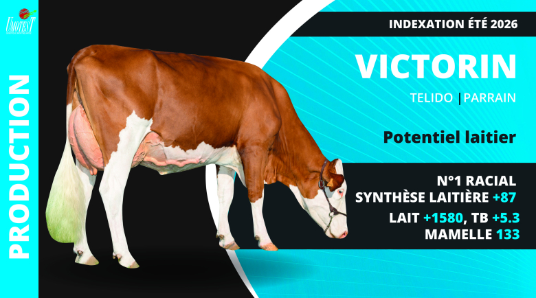 VICTORIN