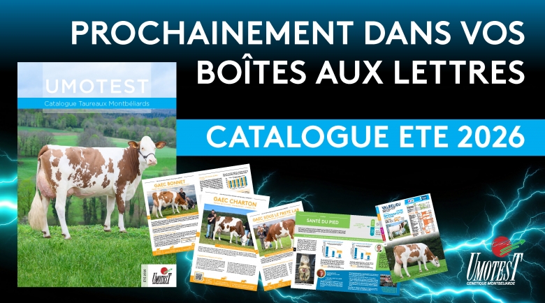 Catalogue