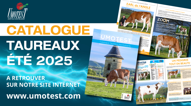 Catalogue été 2025