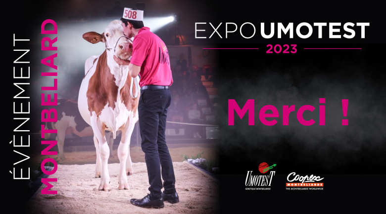 Expo