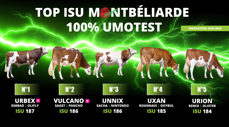 Top ISU