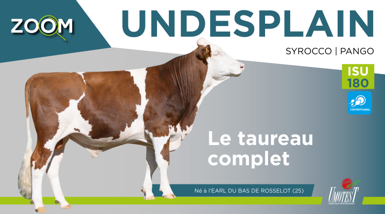 UNDESPLAIN