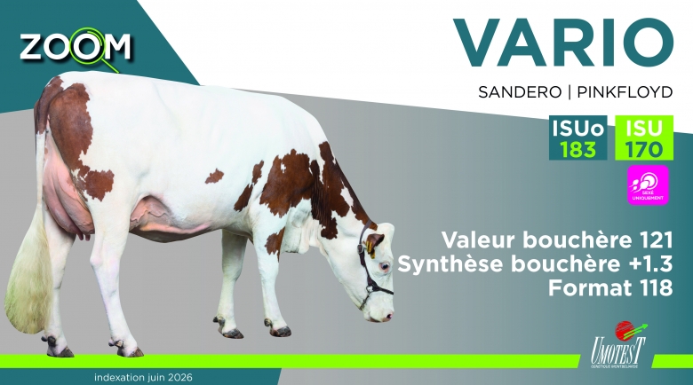 VARIO