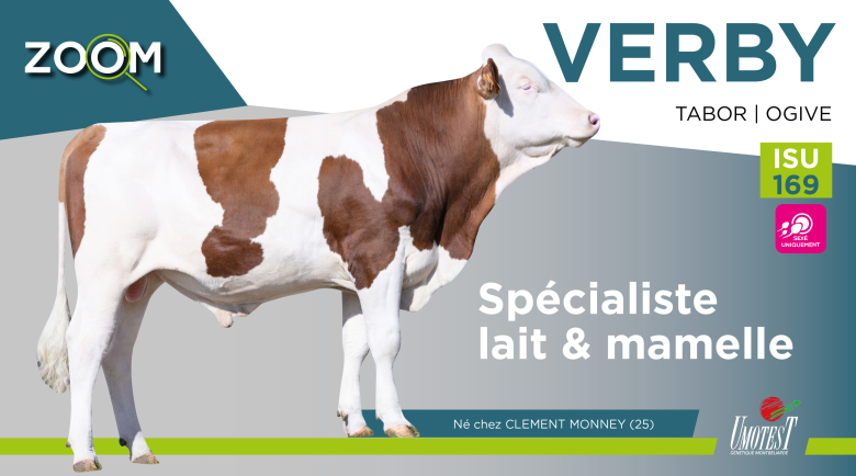 VERBY