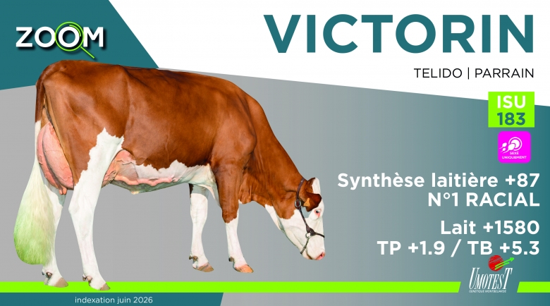 VICTORIEN