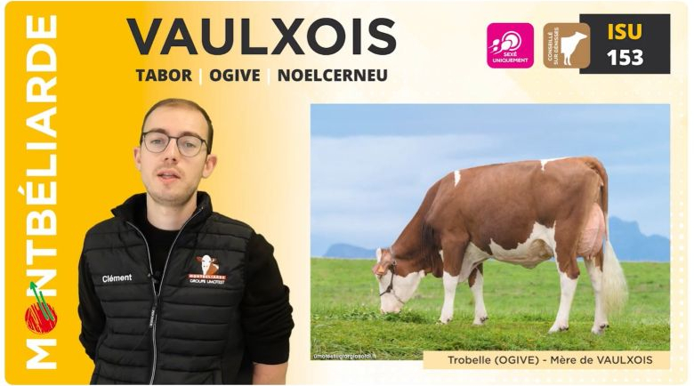 Video de présentation de l'indexation Décembre 2025