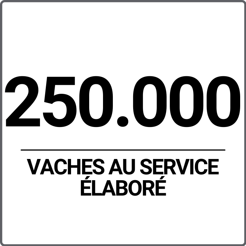 vache au service élaboré